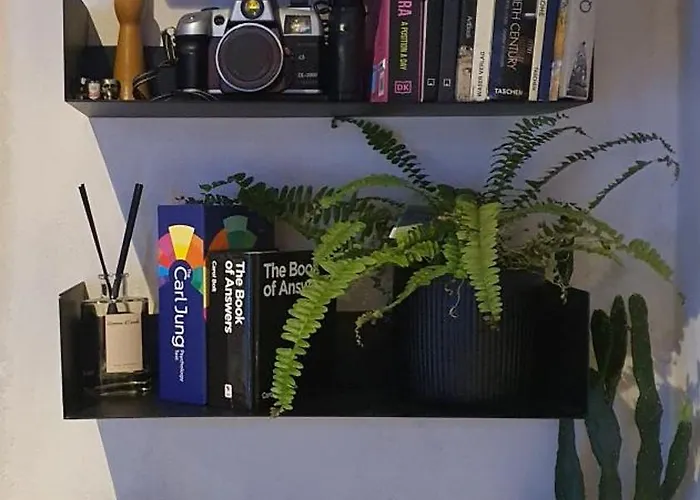 Center Urban Apartment